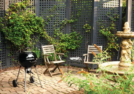 Napoleon Charcoal BBQ - Image 4