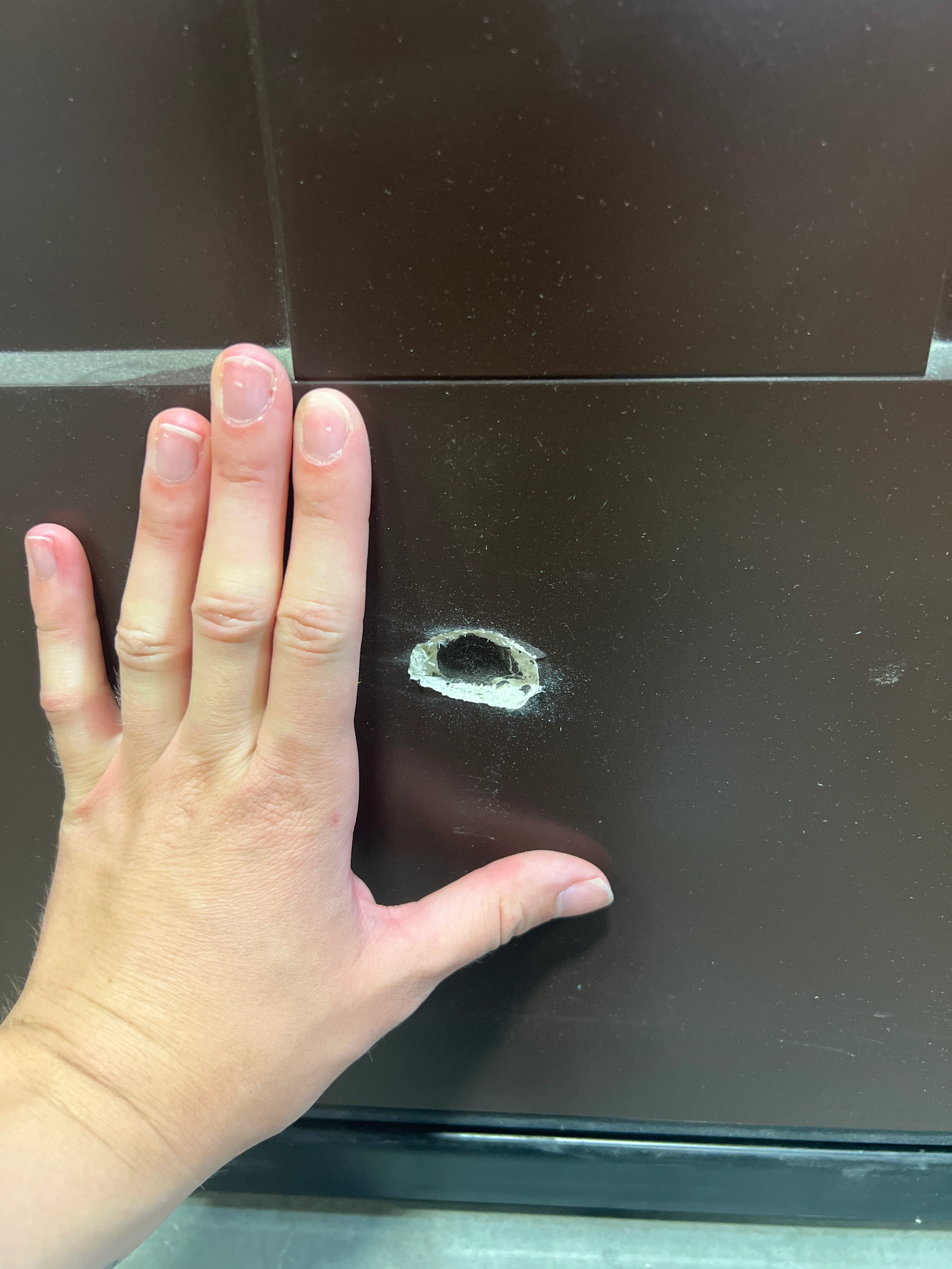 Krosswood Doors 37.75in. x 82.5 in. Left Hand Douglas Fir Black Stain Solid Wood Single Prehung Front Door - Image 3